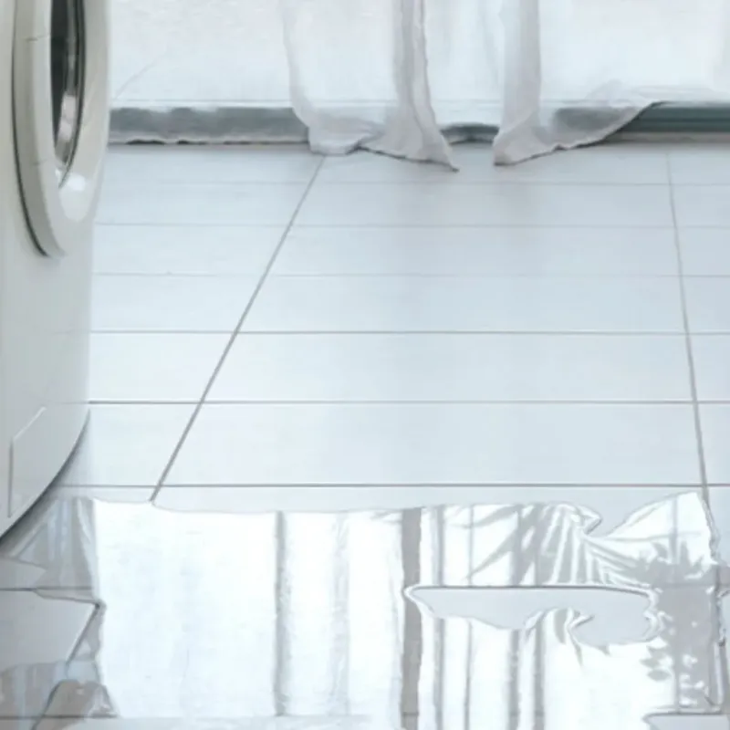Appliance Leak Cleanup in Marinette County, WI