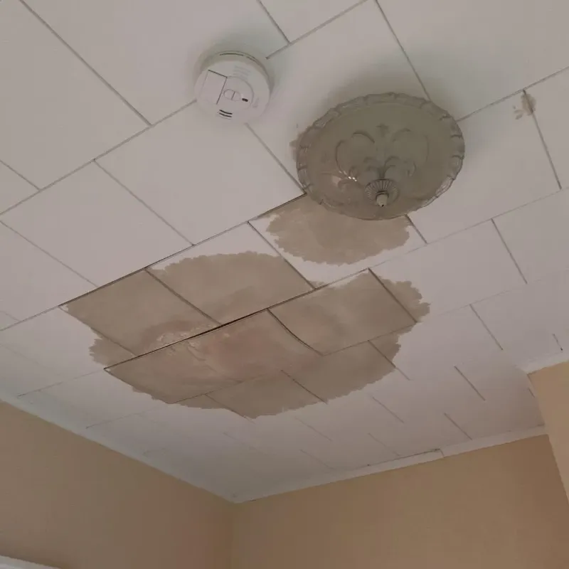 Ceiling Water Damage Repair in Marinette County, WI