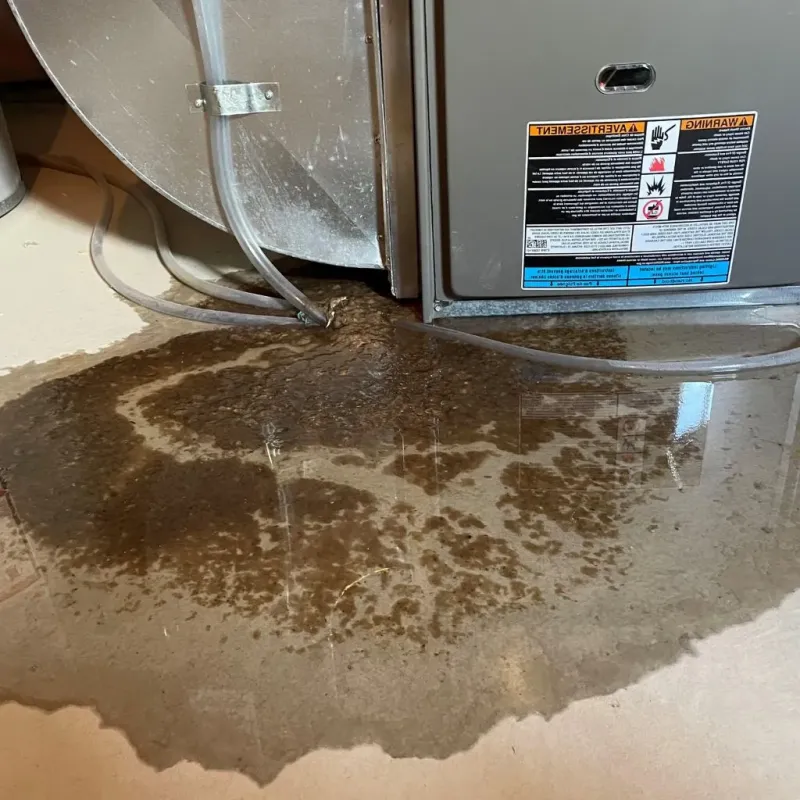 Pipe Burst and Leak Restoration in Marinette County, WI