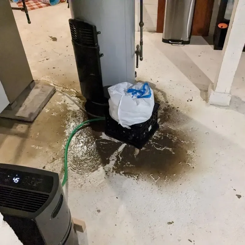 Sewage Backup Cleanup Service in Marinette County, WI